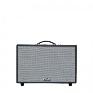 LOA KARAOKE ACNOS CS3600