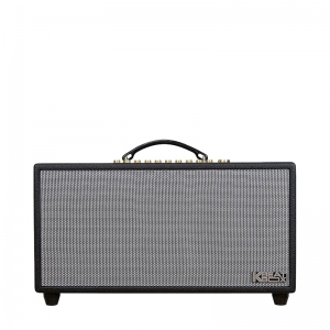 LOA KARAOKE ACNOS HI450