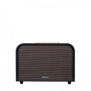 LOA ACNOS ACOUSTIC 3