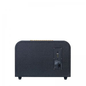 LOA ACNOS ACOUSTIC 3