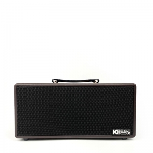 LOA KARAOKE DI ĐỘNG ACNOS KS362D