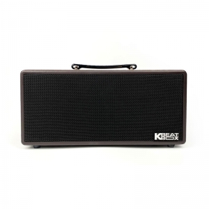 LOA KARAOKE DI ĐỘNG ACNOS KS362D