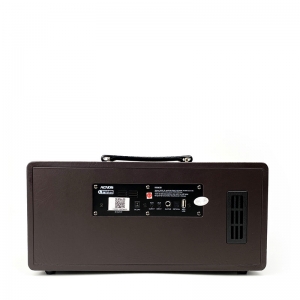 LOA KARAOKE DI ĐỘNG ACNOS KS362D