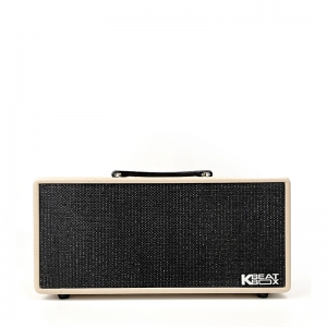 LOA KARAOKE DI ĐỘNG ACNOS KS363H