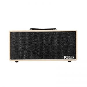 LOA KARAOKE DI ĐỘNG ACNOS KS363H