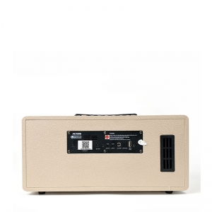 LOA KARAOKE DI ĐỘNG ACNOS KS363H