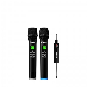 MICRO PARAMAX PASION ECHO