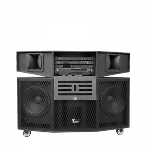 LOA KÉO KARAOKE CAO CẤP TOURING SOUND PRO 6