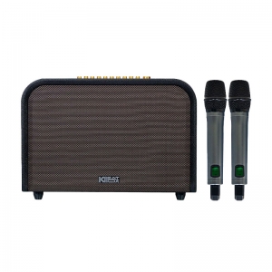 LOA ACNOS ACOUSTIC 3 COMPACT