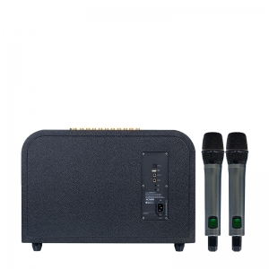 LOA ACNOS ACOUSTIC 3 COMPACT