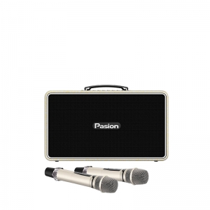 LOA PARAMAX PASION ARTE