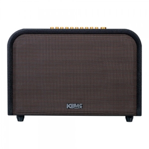 LOA ACNOS ACOUSTIC 3