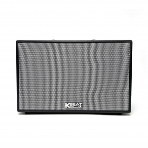 LOA KARAOKE ACNOS CS-201PU