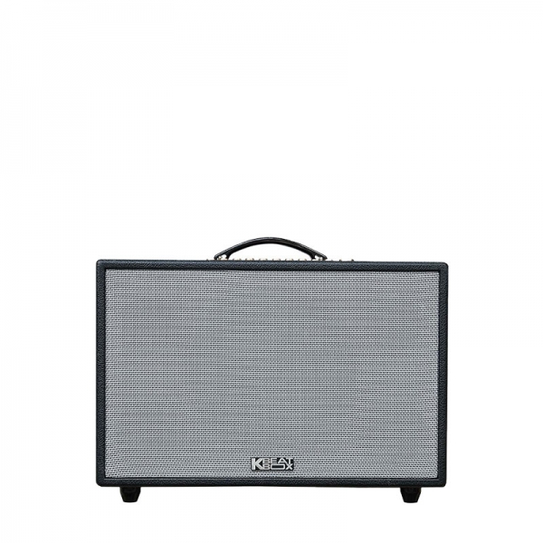 LOA KARAOKE ACNOS CS3600