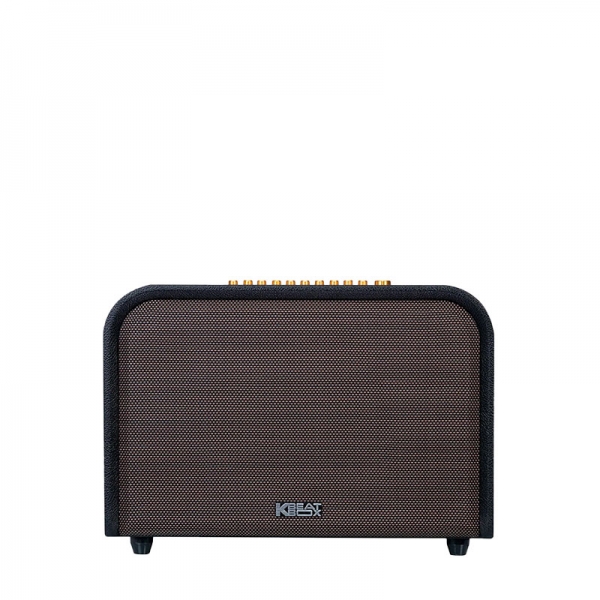 LOA ACNOS ACOUSTIC 3