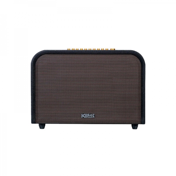 LOA ACNOS ACOUSTIC 3