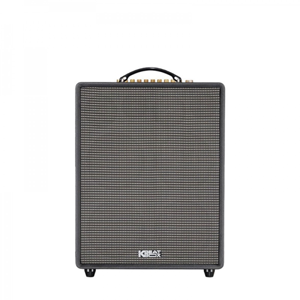 LOA KARAOKE CS552 PLUS
