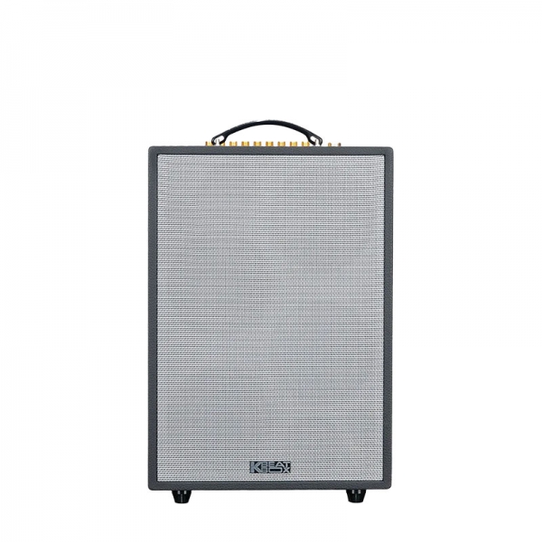 LOA EPOP 100