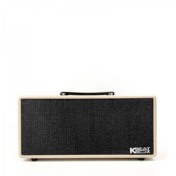 LOA KARAOKE DI ĐỘNG ACNOS KS363H