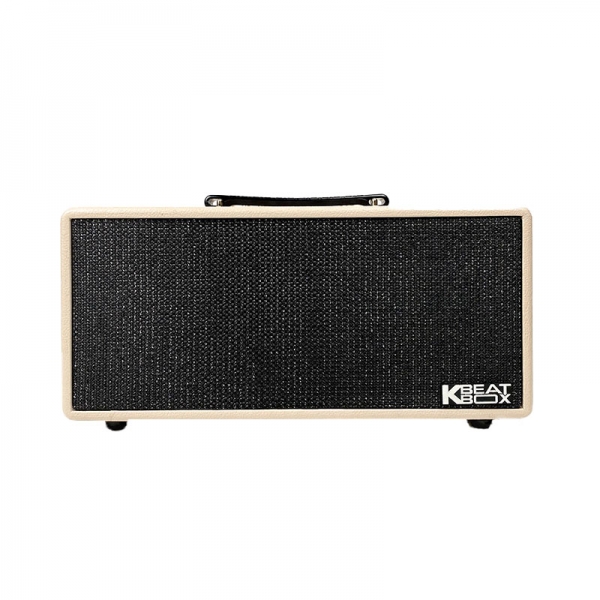 LOA KARAOKE DI ĐỘNG ACNOS KS363H