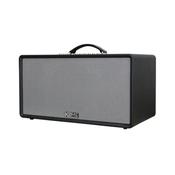 LOA KARAOKE & NGHE NHẠC ACNOS FLAC 36 VER 2